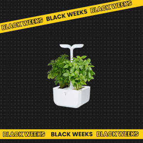 BLACK FRIDAY - INOMHUS KÖKSTRÄDGÅRD