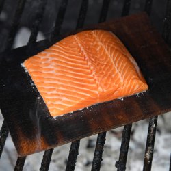 Bertha Professional Original Trkolsugn - Mrkgr