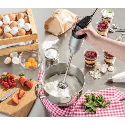 Caso Stavmixer HB 2400 XL Pro inkl. tillbehr