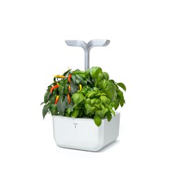 Vritable Garden Exky SMART (Arctic vit m. 2 rum)