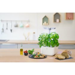 Vritable Garden Exky SMART (Arctic vit m. 2 rum)