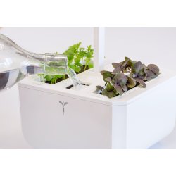 Vritable Garden Exky CLASSIC (Vit m. 2 rum)