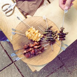 Kasai Hibachi Bar &amp; Spett-set (Till Kasai Konro Yakitori Grill Medium/Bred)