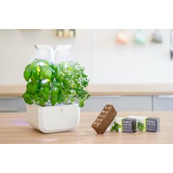 Vritable Garden Exky CLASSIC (Vit m. 2 rum)