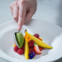 Taurus Rowzer Plus Frozen Food Processor (inkl. 2 behllare)