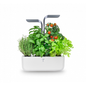 Indendørs urtehave (Indoor Garden)